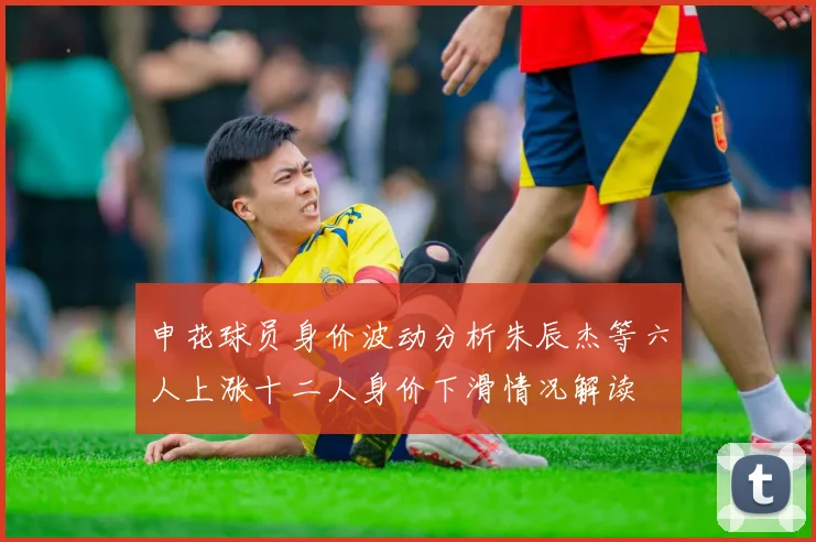 申花球员身价波动分析朱辰杰等六人上涨十二人身价下滑情况解读